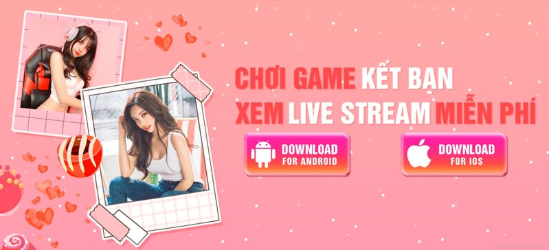 Những câu hỏi thường gặp tại Chich live