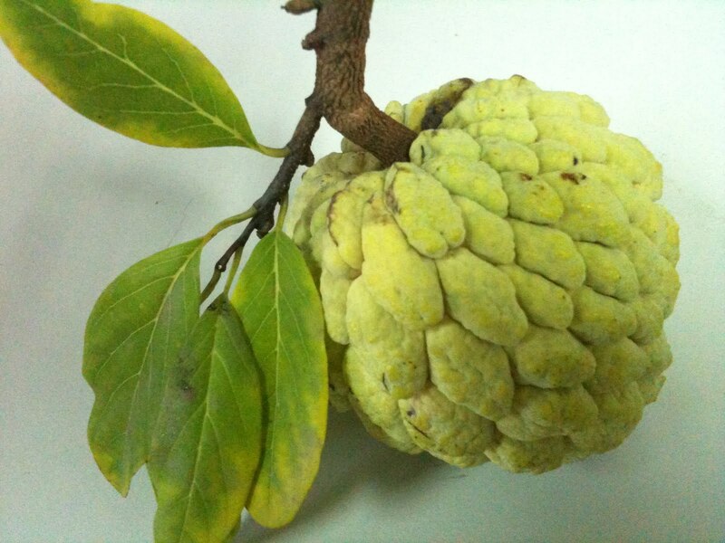 Mơ thấy mình đang ăn na