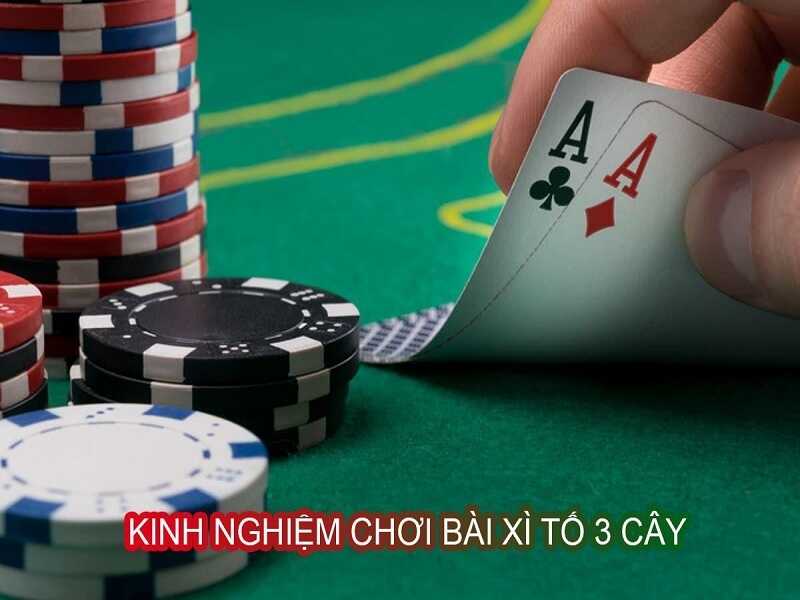 Xì tố 3 cây