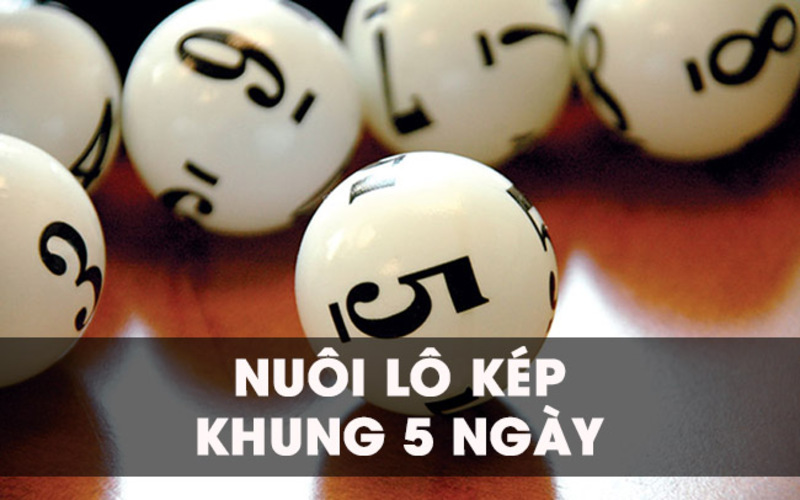 Nuôi khung 5 ngày cần rất nhiều vốn và kinh nghiệm