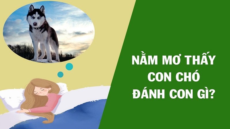 Mơ thấy chó nên đánh con gì?