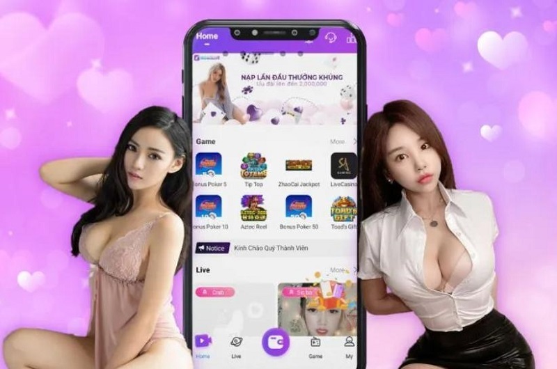 Chính sách đại lý Chichlive dành cho thành viên